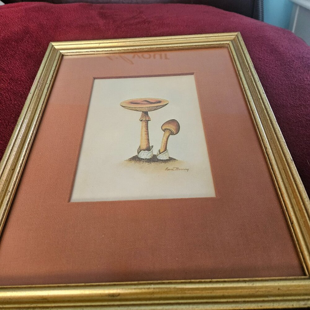 vintage mushroom print signed Ruane Manning approx 13x12